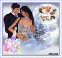 CARTE-DE-VOEUX--2010-CREANGE.gif