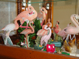 COLLECTIONS FLAMANDS ROSES