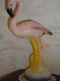LES FLAMANDS ROSES
