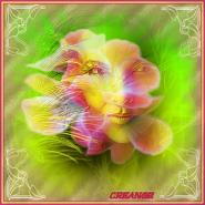VISAGE-FLEURS-CREANGE.jpg