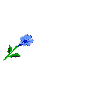signature-raymondefleurbleue0.gif
